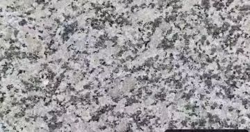 百色 芙蓉白（芝麻白大花）火烧面
