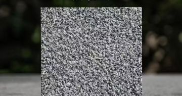 百色 芝麻黑荔枝面