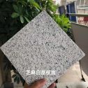百色 芝麻白荔枝面干挂