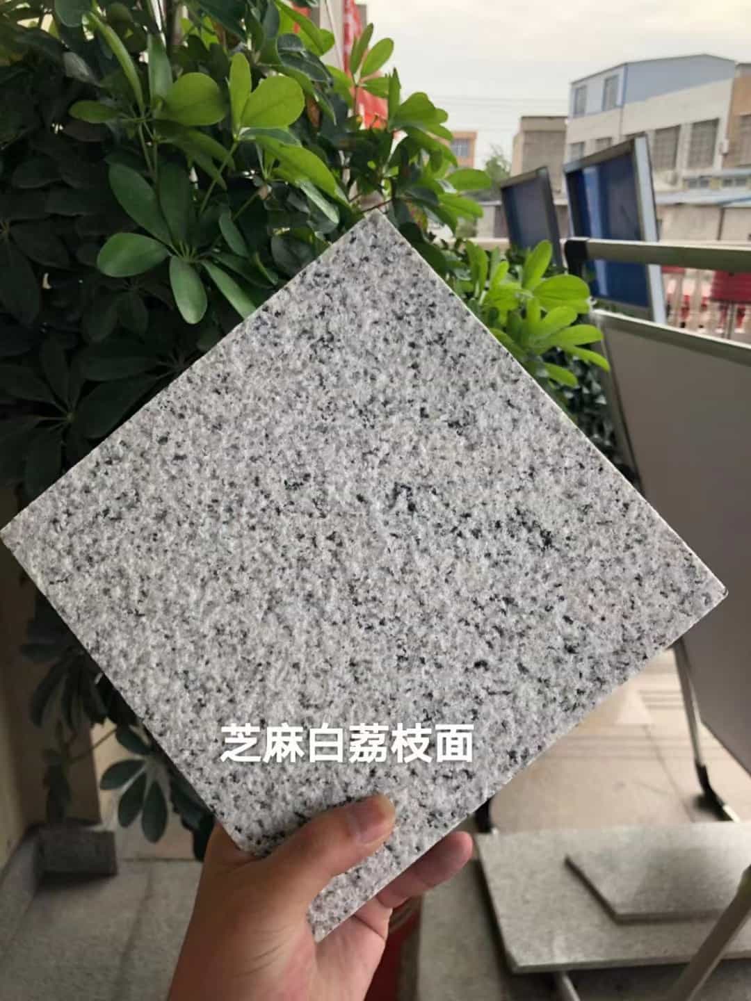 百色 芝麻白荔枝面干挂