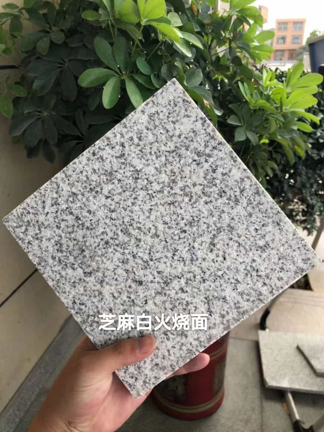 百色芝麻白火烧面地铺