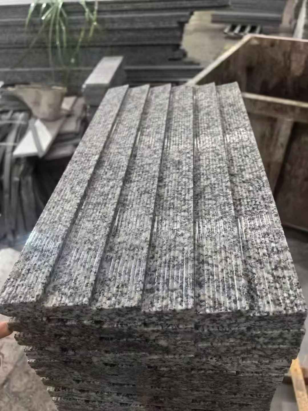 百色 狼牙石