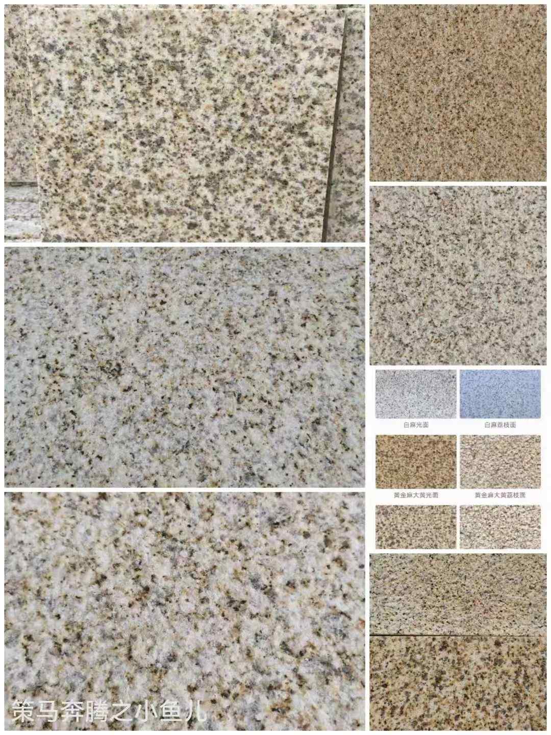 百色黄金麻